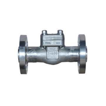 Valve, Check, Bolted Cover Piston, 1/2", 300#, FLANGED RF, RP, F316L /SS316/Body Seat,
