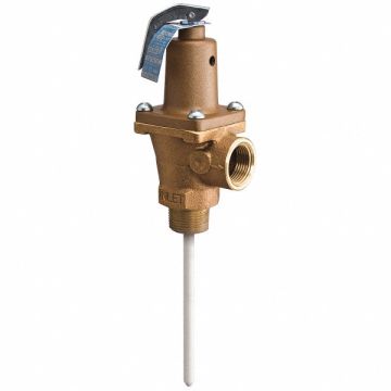 T and P Relief Valve 3/4 in Inlet