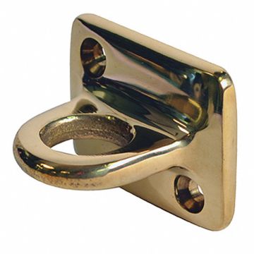 Wall Plate Polished Brass 1-5/8 in H