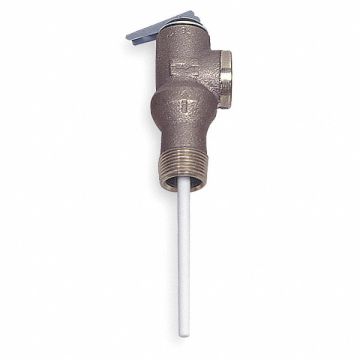 T and P Relief Valve 3/4 in Outlet