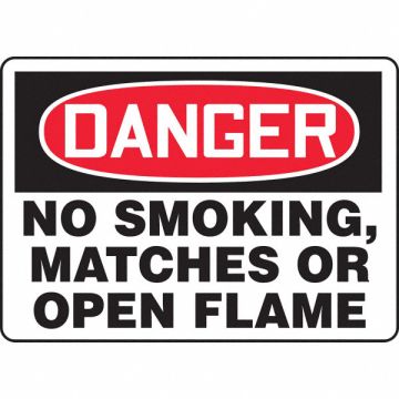 Danger No Smoking Sign 10X14 ENG