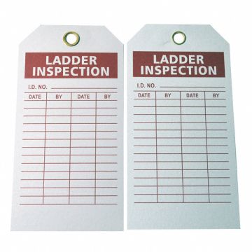 Lad Inspection Tag 5-3/4 x 3 In PK100