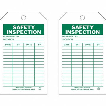 Saf Inspection Tag 7 x 4 In Grn/Wht PK10