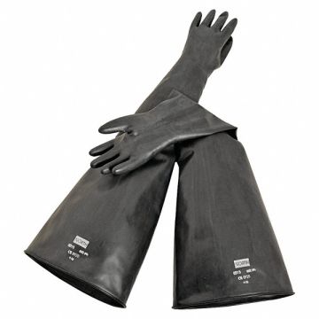 Glove Box Gloves 32 9-3/4 PR