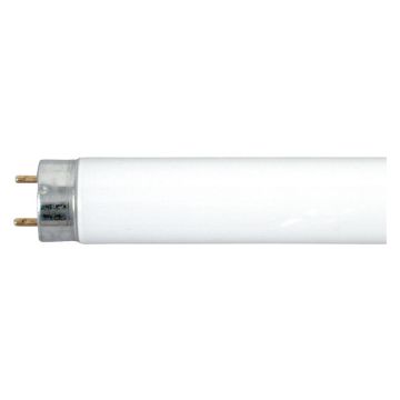 Linear FLUOR Bulb T8 48 L G13 4100K