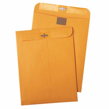 Catalog Envelopes 10 H 13 W PK100
