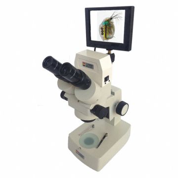 Microscope 88.9mm Focus Height Max Hal