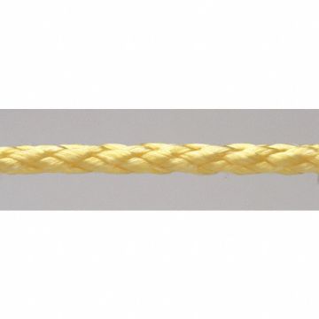 Rope PPL Hollow Braid 3/8In. dia 100ft L