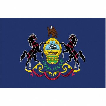 D3761 Pennsylvania State Flag 3x5 Ft
