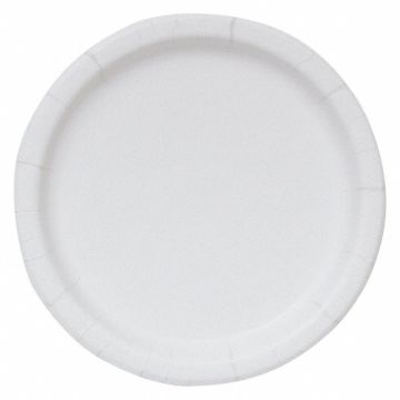 Disposable Paper Plate 8 1/2 in WH PK250