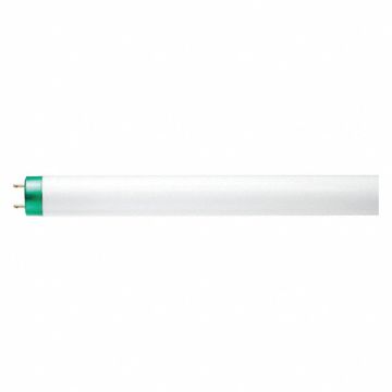 Linear FLUOR Bulb T8 48 L G13 5000K
