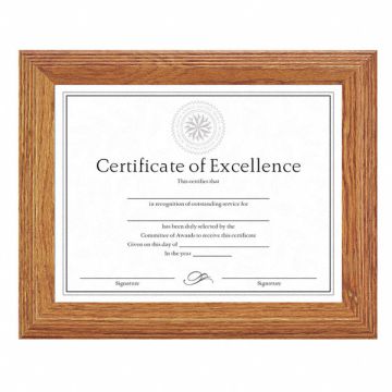 Document/Certificate Frame 11x8-1/2 In.
