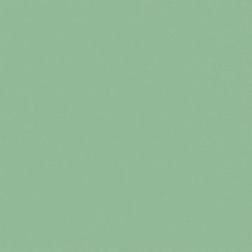 H7157 Paint 1 G Semi Gloss Pleasant Green