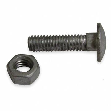 Carriage Bolts Steel 5/16 In Dia PK20