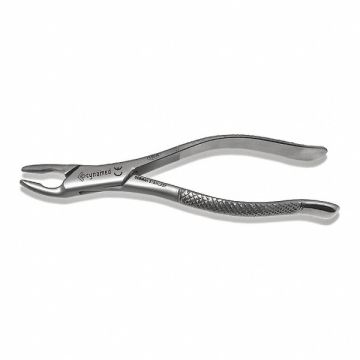 Dental Extracting Forceps #53L
