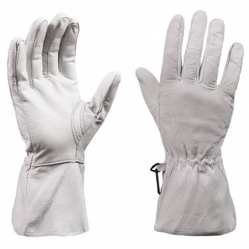 Cut Resistant Gloves Gr Uncoated XS PR