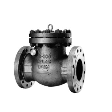Valve, Check, Bolted Cover Swing, 8", 300#, Flanged RF, RP, CF8M/F316/Stellited,