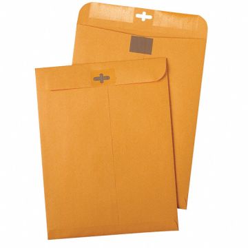 Catalog Envelopes 6 H 9 W PK100