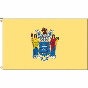 D3771 New Jersey Flag 4x6 Ft Nylon