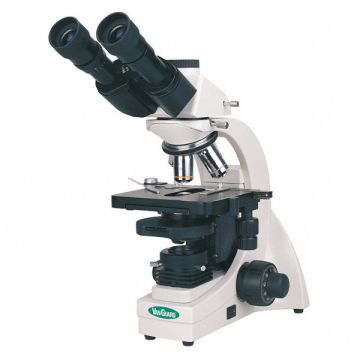 Compound Microscope 10X 20X 40X 100X