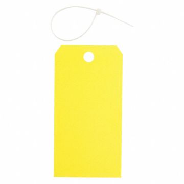 Blank Tag Polyester Colored PK25