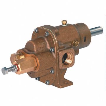 Rotary Gear Pump Head 1 1/4 in 1 1/2 HP