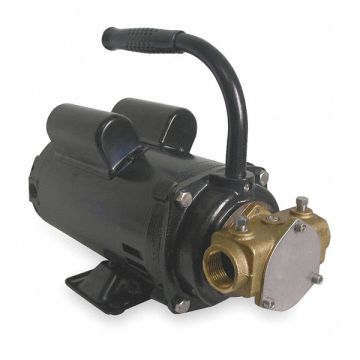 Pump Flexible Impeller 1 HP 115/230V