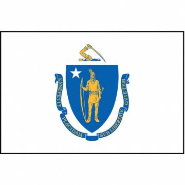 D3761 Massachusetts State Flag 3x5 Ft