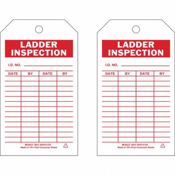 Inspection Tag 7inHx4inW Eco. Poly. PK10