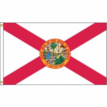 D3772 Florida Flag 5x8 Ft Nylon