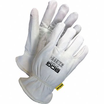 Leather Gloves PR