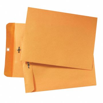 Catalog Envelopes 9 H 12 W PK100