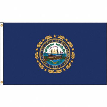 D3772 New Hampshire Flag 5x8 Ft Nylon