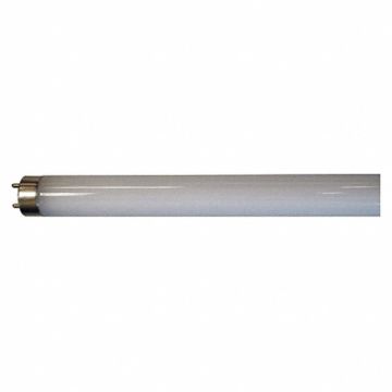 Linear LED Bulb T8 48 L G13 4000K