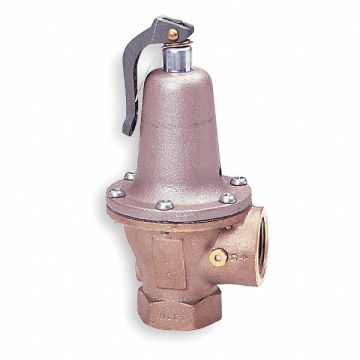 Safety Relief Valve 1 x 1-1/4 In 30 psi