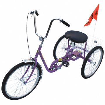 Tricycle 250 lb Cap. Purple 24 Wheel