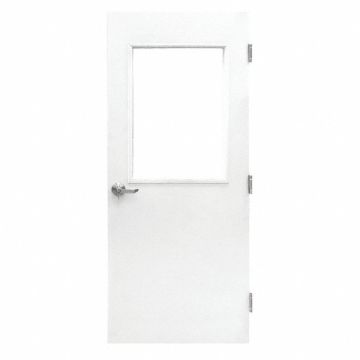 Cleanroom Door 84 inx36 in Steel