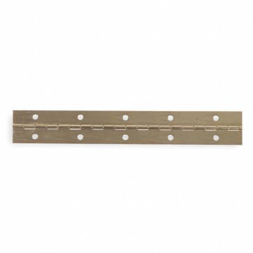 Continuous Hinge Brass 4 ft L 1-1/2 In W