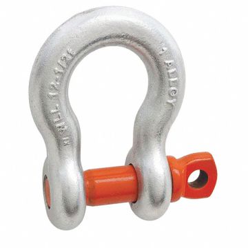3/4In Anchor Shackle Screw Pin Galv