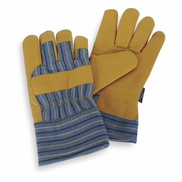 D1664 Cold Protection Gloves M Gld Ylw/Blue PR