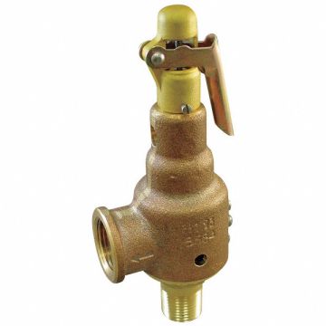 D4477 Safety Relief Valve 3/4 x 1 In 25 psi