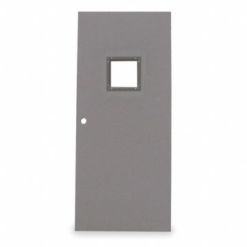 D3631 Hollow Metal Door Type 3 84 x 32 In