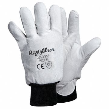 Leather Gloves Gray M PR