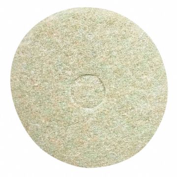 Top Line Pre-Burnishing Pad Round PK5