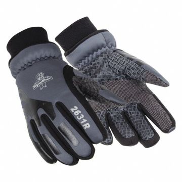 Insulated Softshell Glove PR