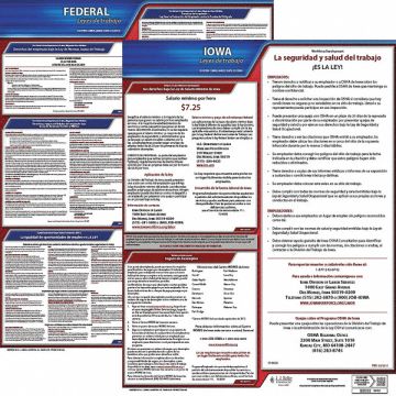 Labor Law Poster Fed/STA IA SP 20inH 3yr