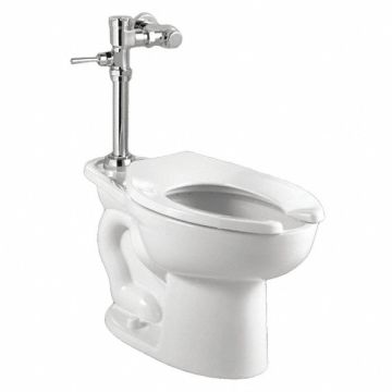 Flush Valve Toilet 10 or 12 Rough-In