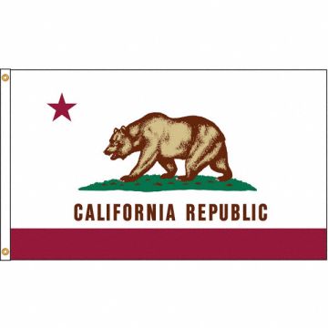 D3771 California Flag 4x6 Ft Nylon