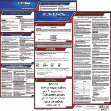Labor Law Poster Kit SD Spanish 19 in W