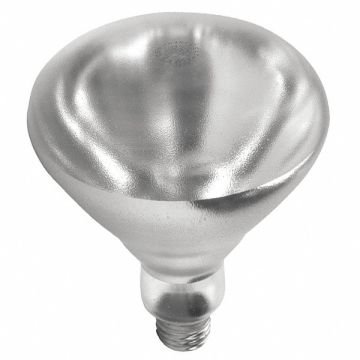 Incandescent Heat Bulb R40 1200 lm 250W